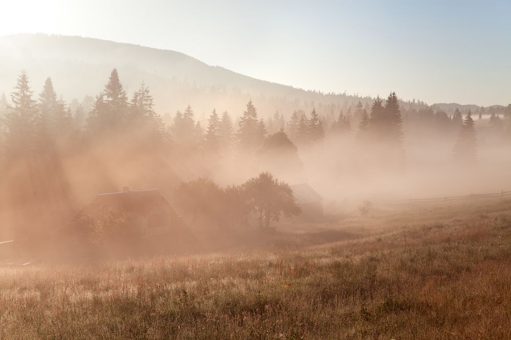 Photograph by Юлия Рублевская