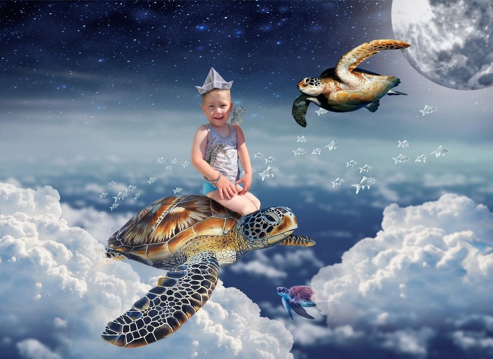 Фотография автора Александр Заикин