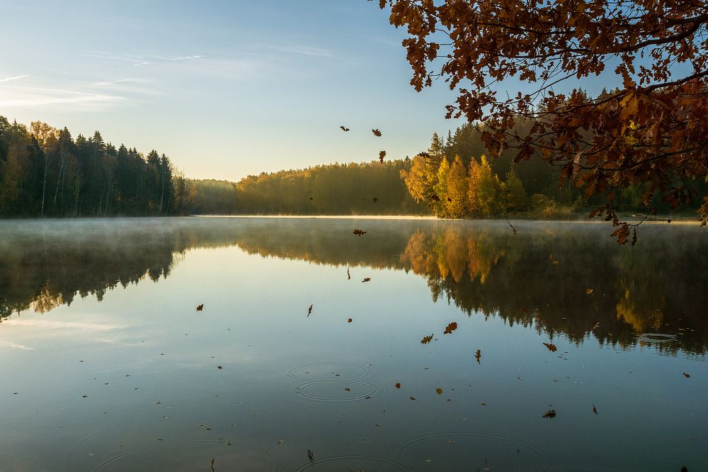 Photograph by Александр Шершнев