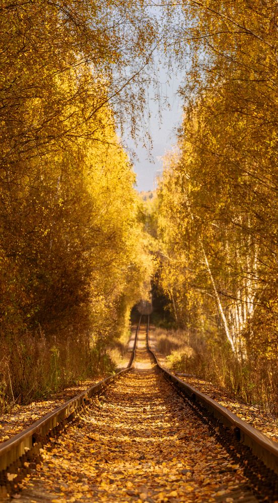 Photograph by Александр Шершнев