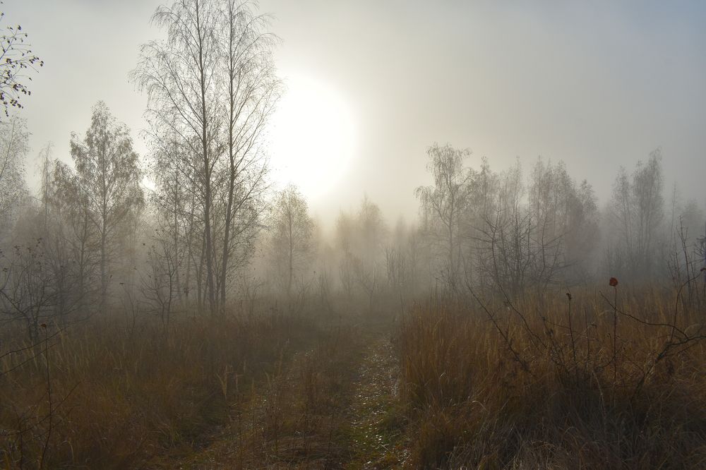 Photograph by Татьяна Калугина