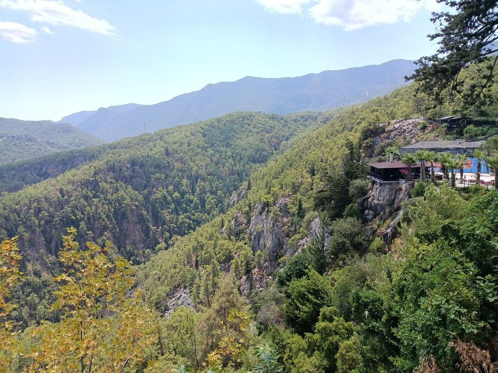 Photo #6708809