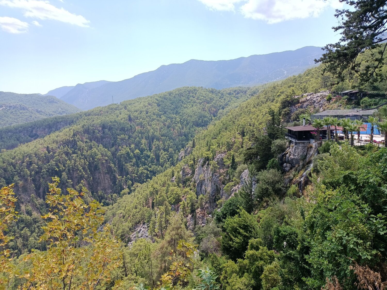 Photo #6708809