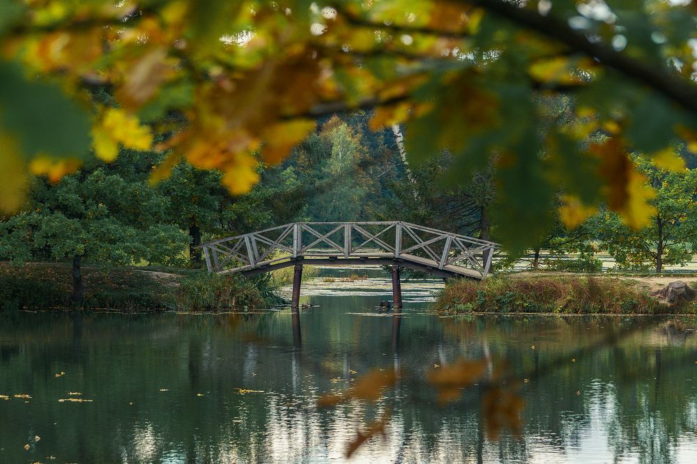 Photograph by Александр Шершнев