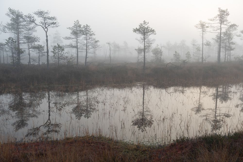 Photograph by Крицак Ольга
