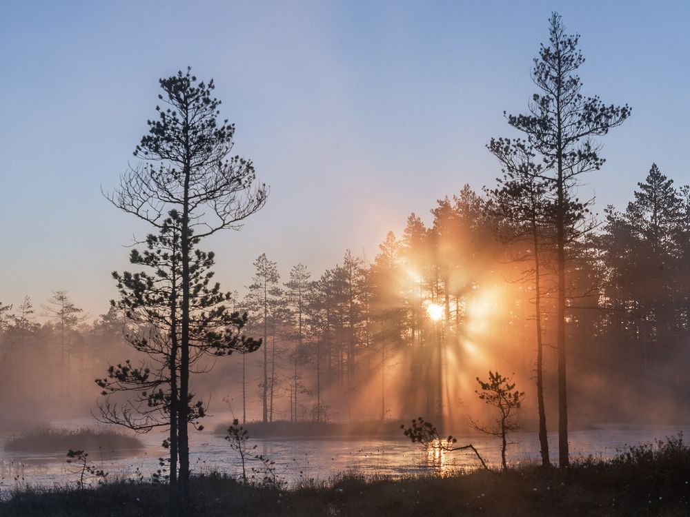 Photograph by Крицак Ольга