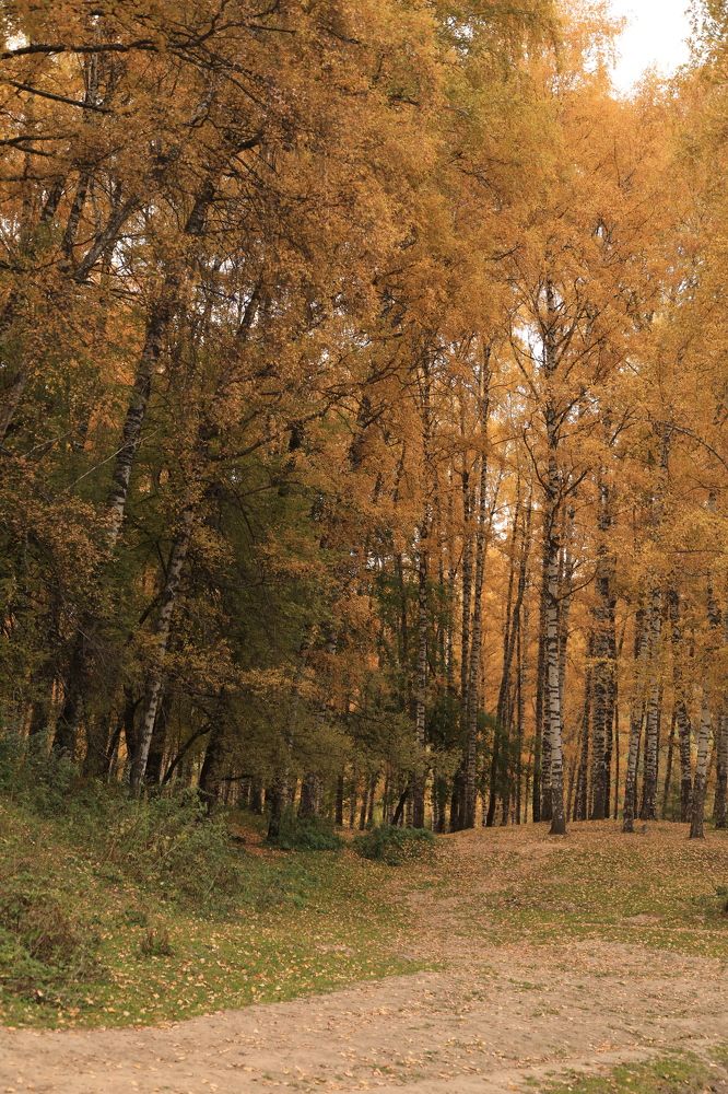 Photograph by Наталья Малышева