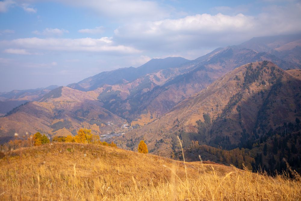 Photograph by Наталья Малышева