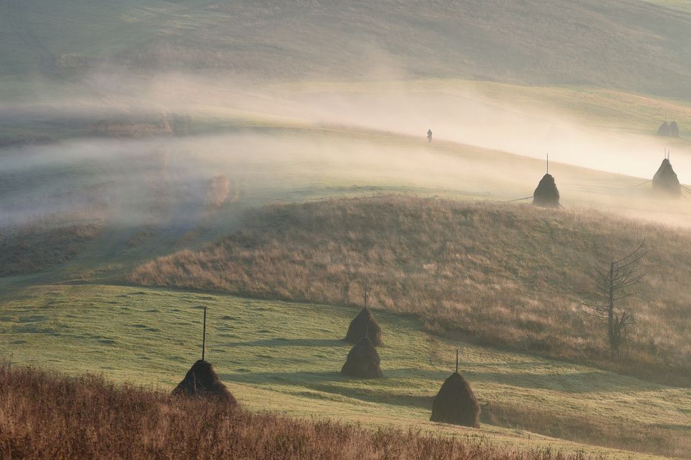 Photograph by Крицак Ольга