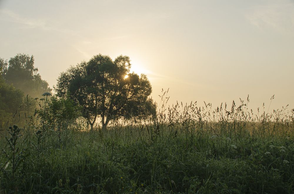 Photograph by 