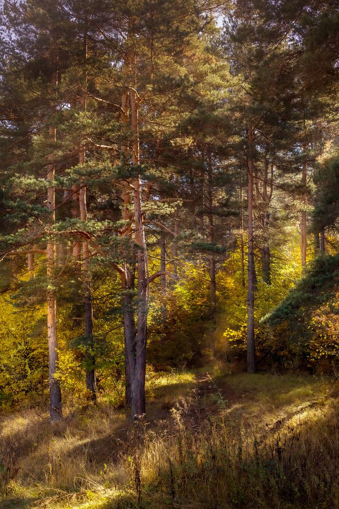 Photograph by Nataliya Nazarova