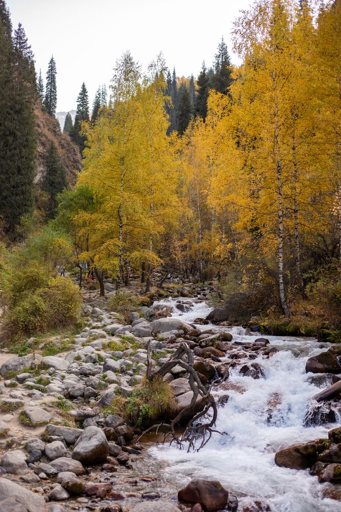 Photograph by Наталья Малышева