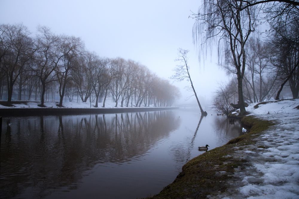 Фотография автора Гудкова Светлана