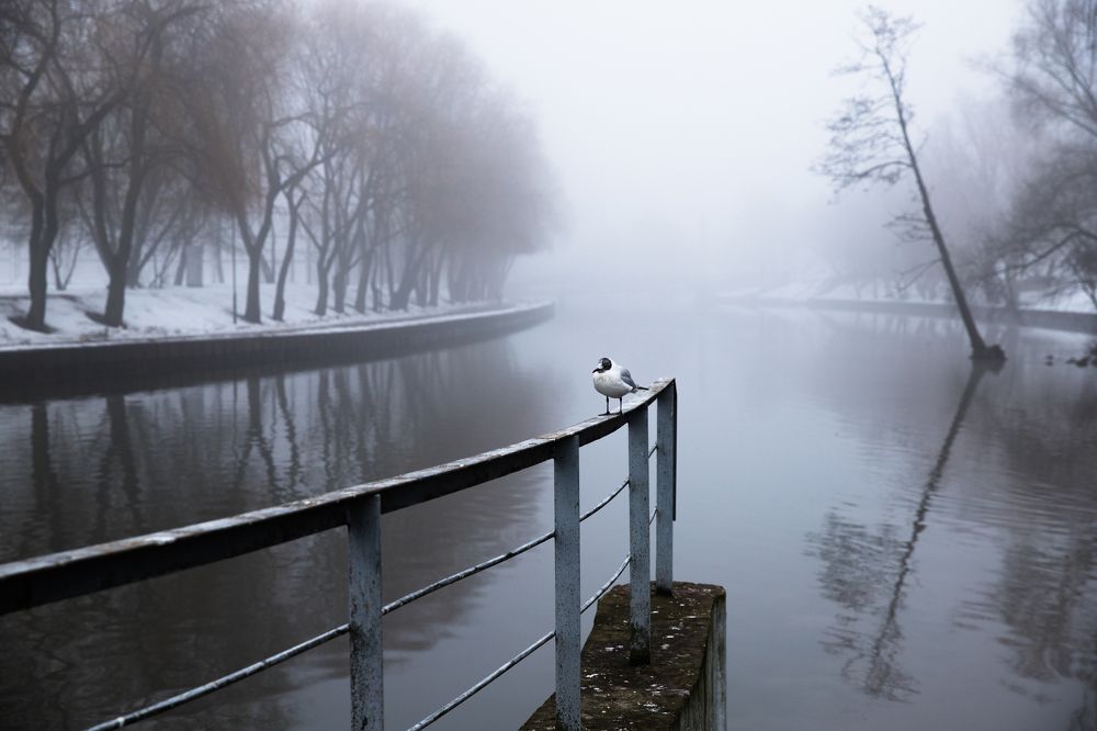 Фотография автора Гудкова Светлана