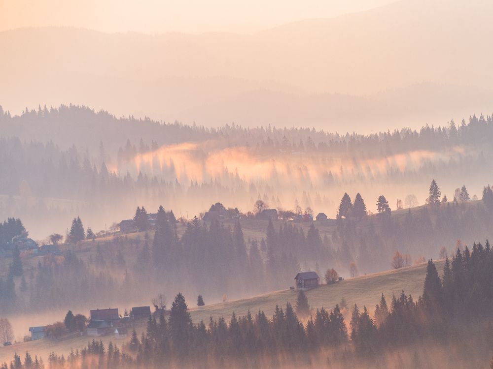 Photograph by Крицак Ольга