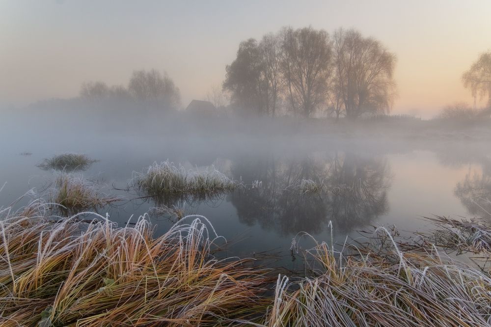 Photograph by Alex Arendar