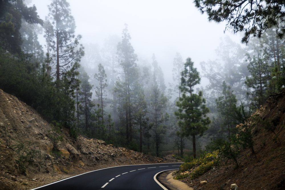 Фотография автора Гудкова Светлана