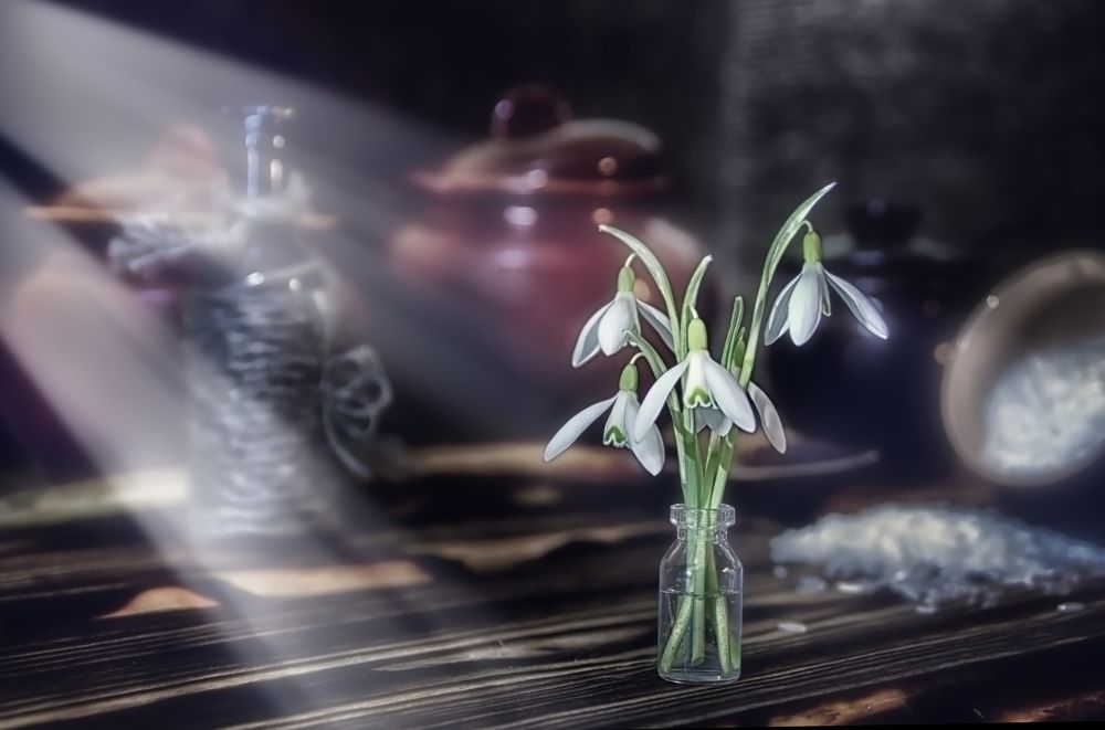 Фотография автора Юлия Кранина