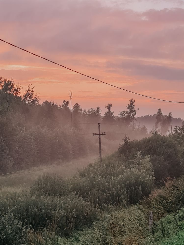 Blueberry marshmallows at sunset