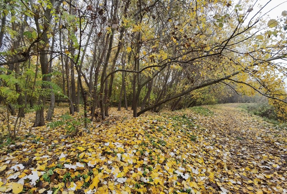 Photograph by Ирина Садкова