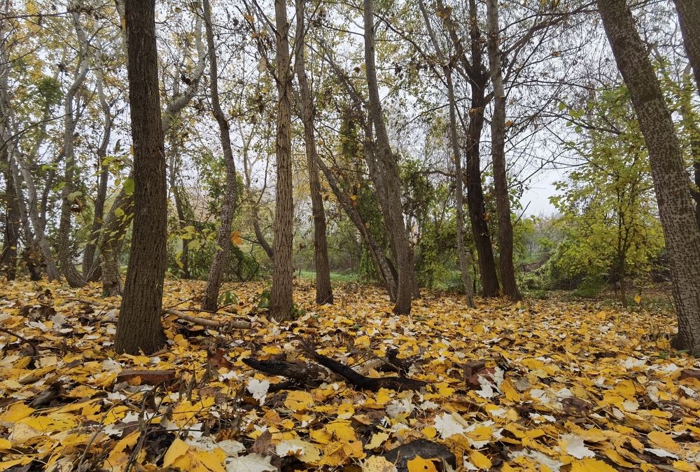 Photograph by Ирина Садкова