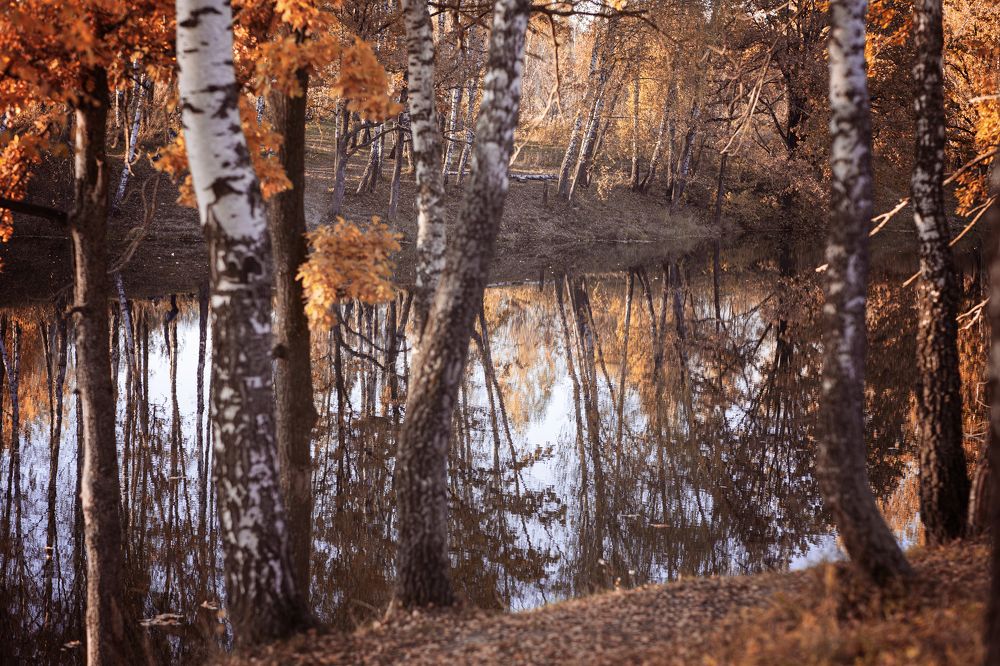 Photograph by Марина Нилова