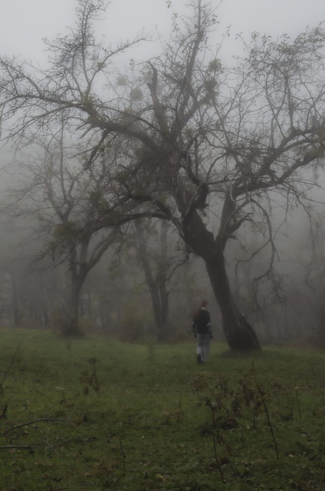 Photograph by Рената Митрова