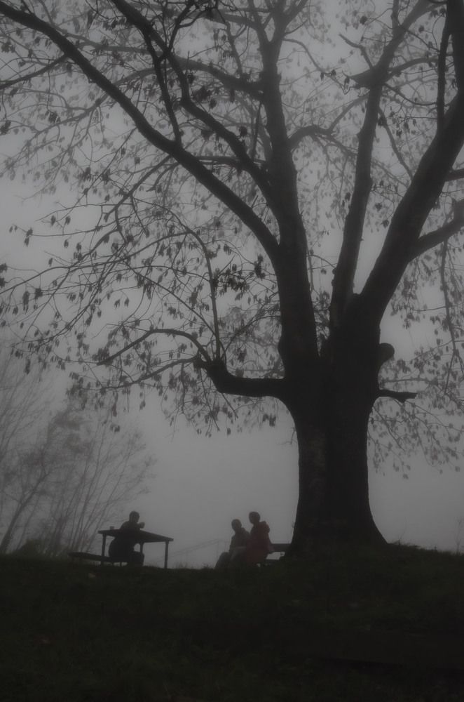 Photograph by Рената Митрова