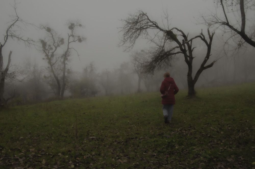 Photograph by Рената Митрова