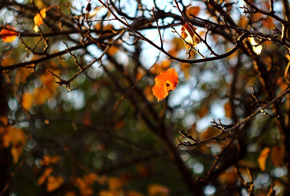 Photograph by Юрий Варюхин