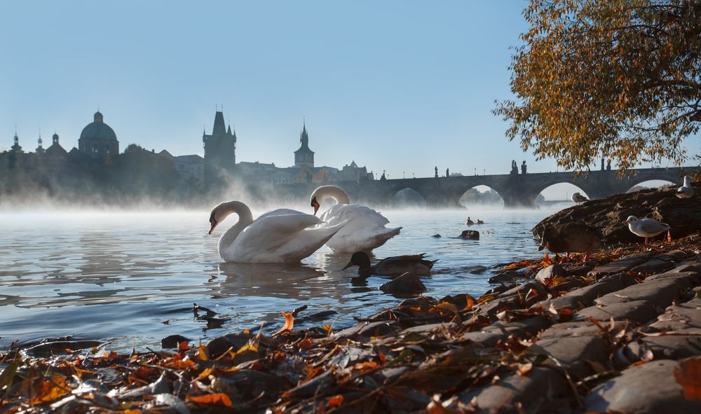 Photograph by Олег Шрамко