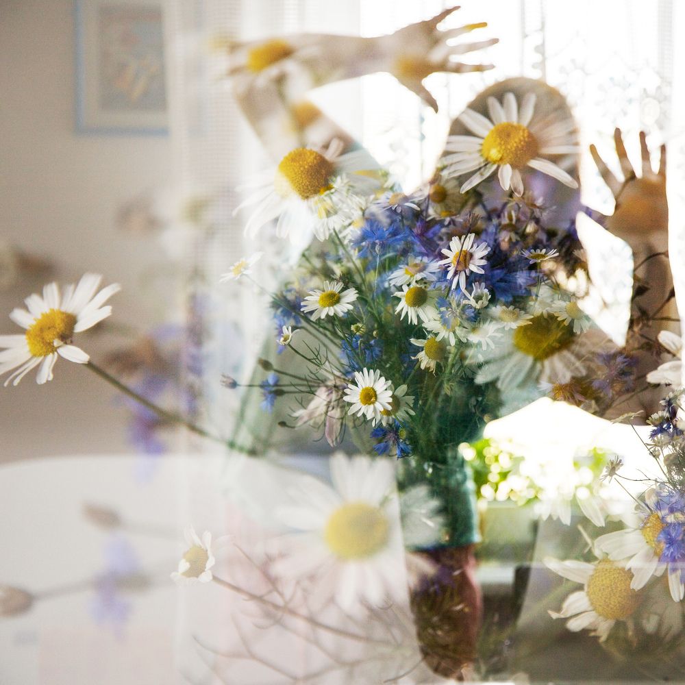 Фотография автора Гудкова Светлана