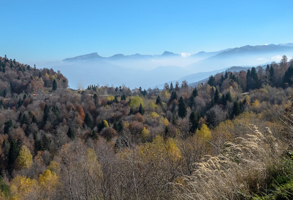 Photograph by Бабитко Юлия