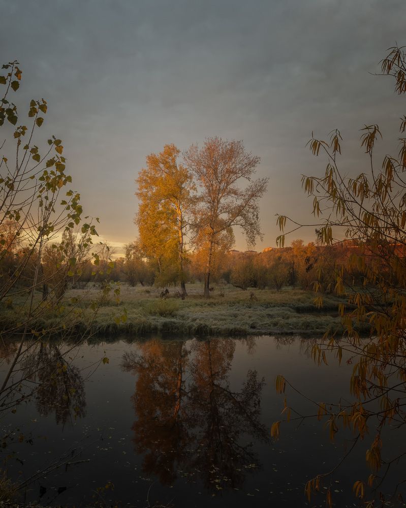 Photograph by Дмитрий Зорин