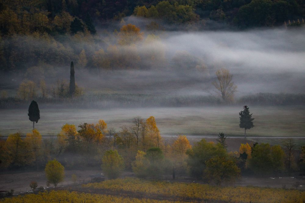 Photograph by Dzintra Zvagina