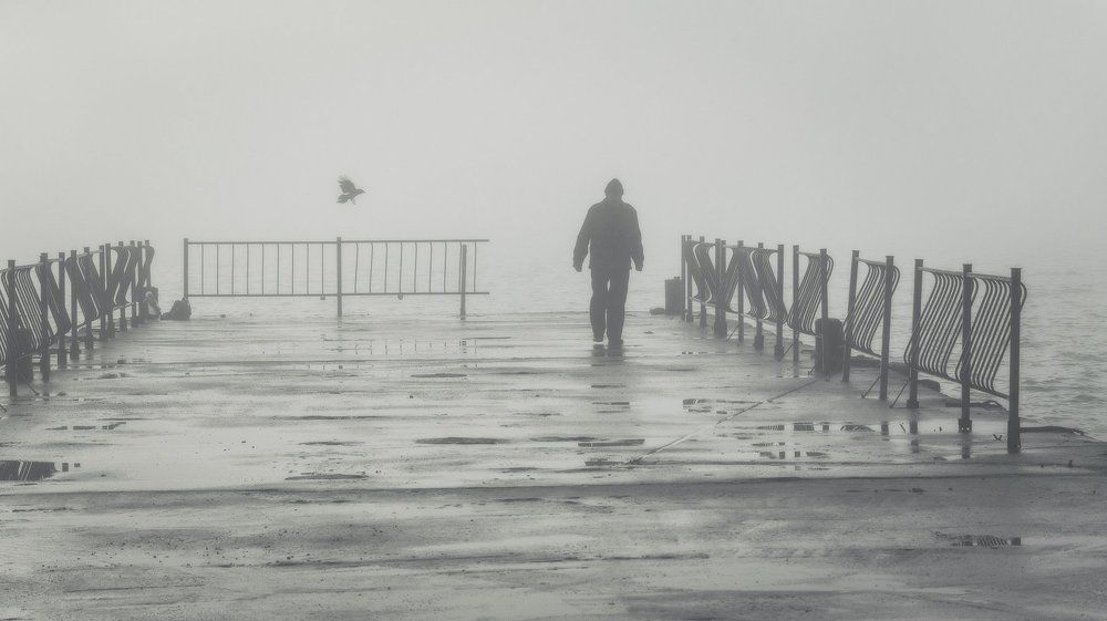 Photograph by Анатолий Щербак