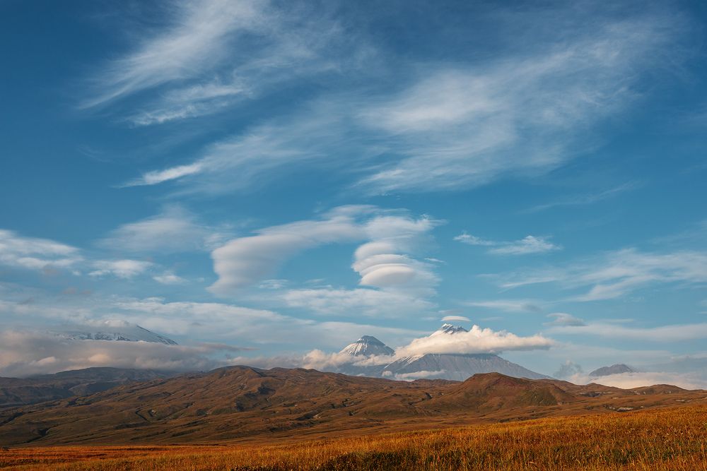 Photograph by Крицак Ольга