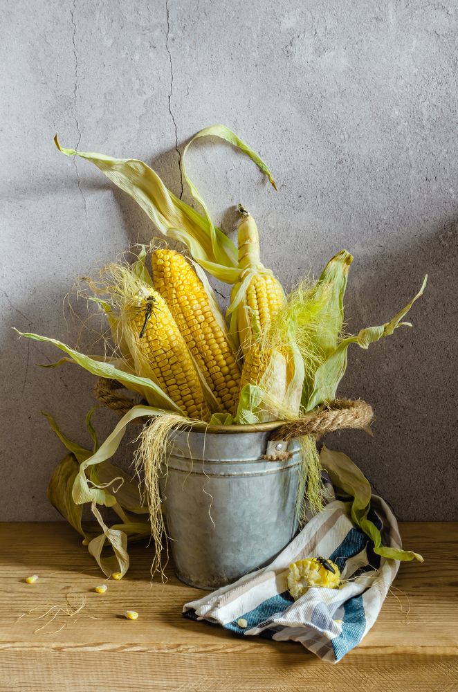Still life with corn