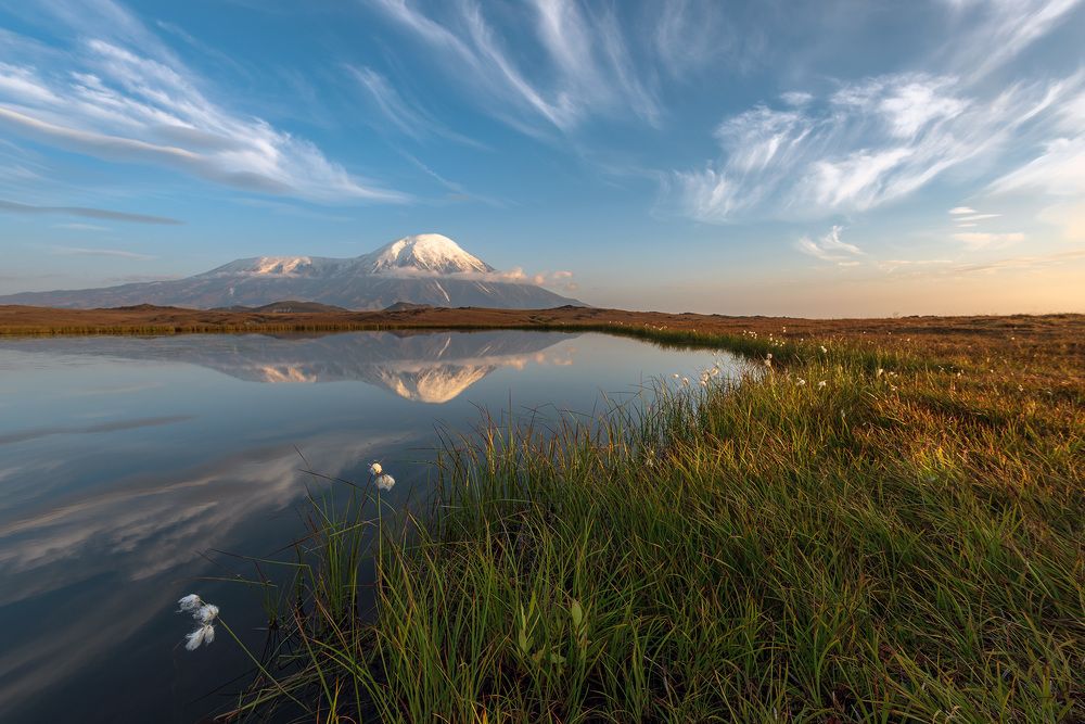 Photograph by Крицак Ольга