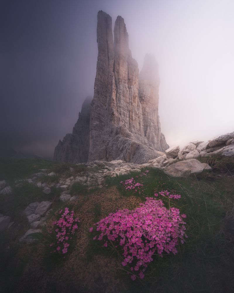 Photograph by NICOLA MANFREDI