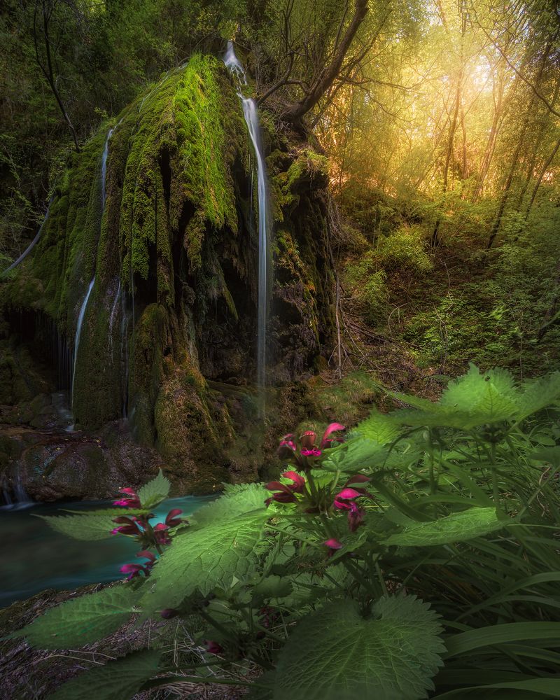 Photograph by NICOLA MANFREDI