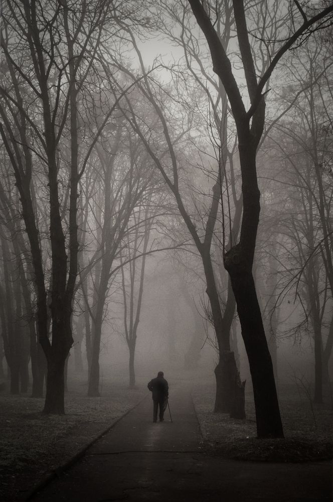 Photograph by Назарій Іванів