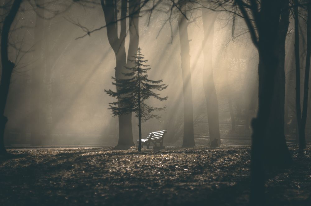 Photograph by Назарій Іванів