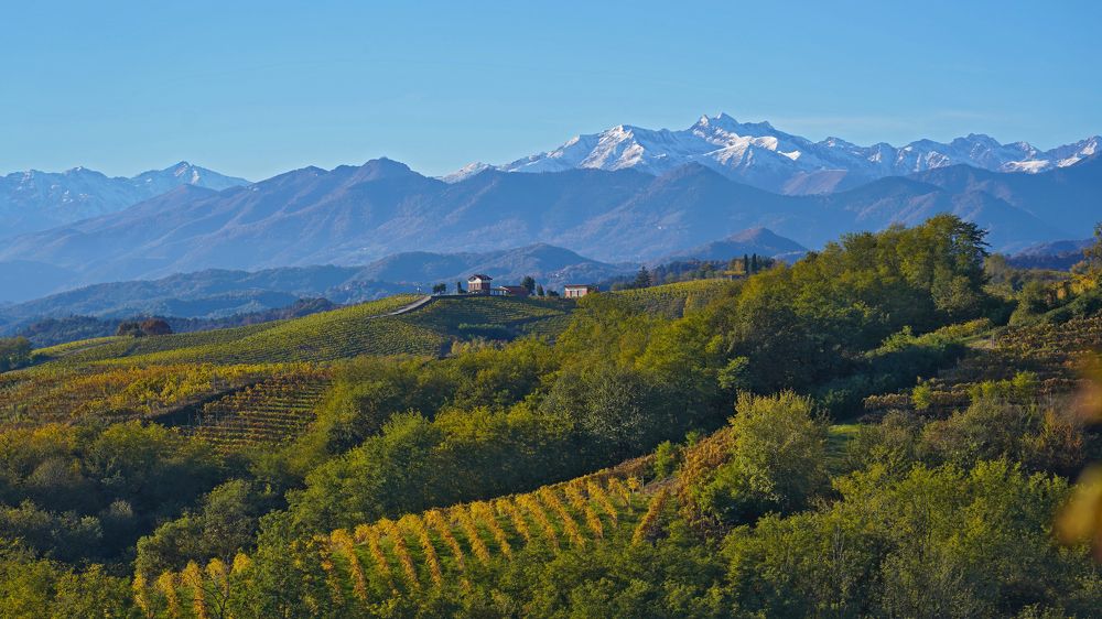 Фотография автора Nicolò Lagona