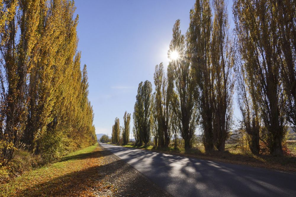 Дорога домой