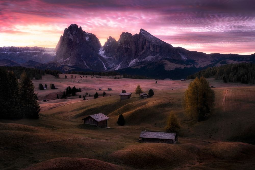 Photograph by David Ilkovic