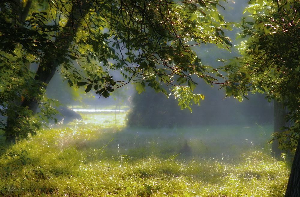 Photograph by Анатолий Святой