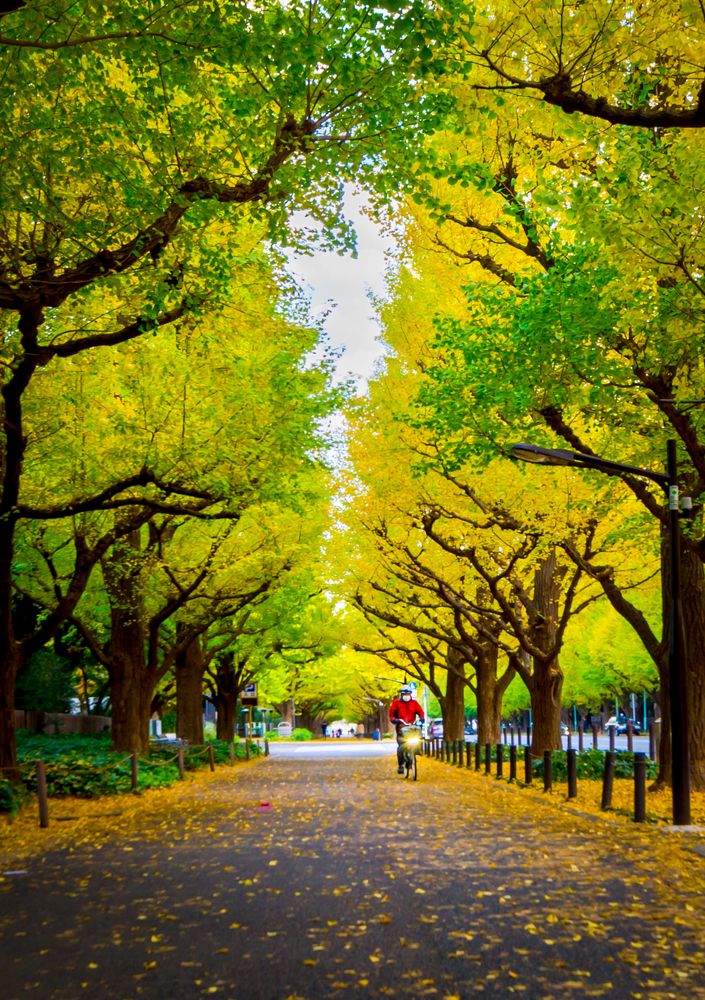 Фотография автора Maurice Leung