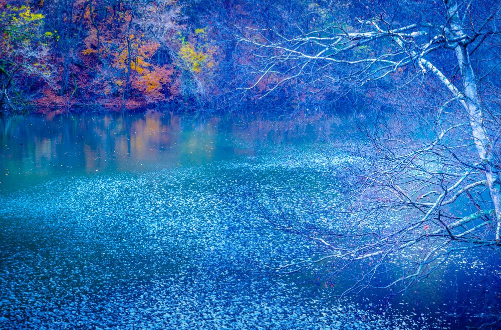 Фотография автора Maurice Leung