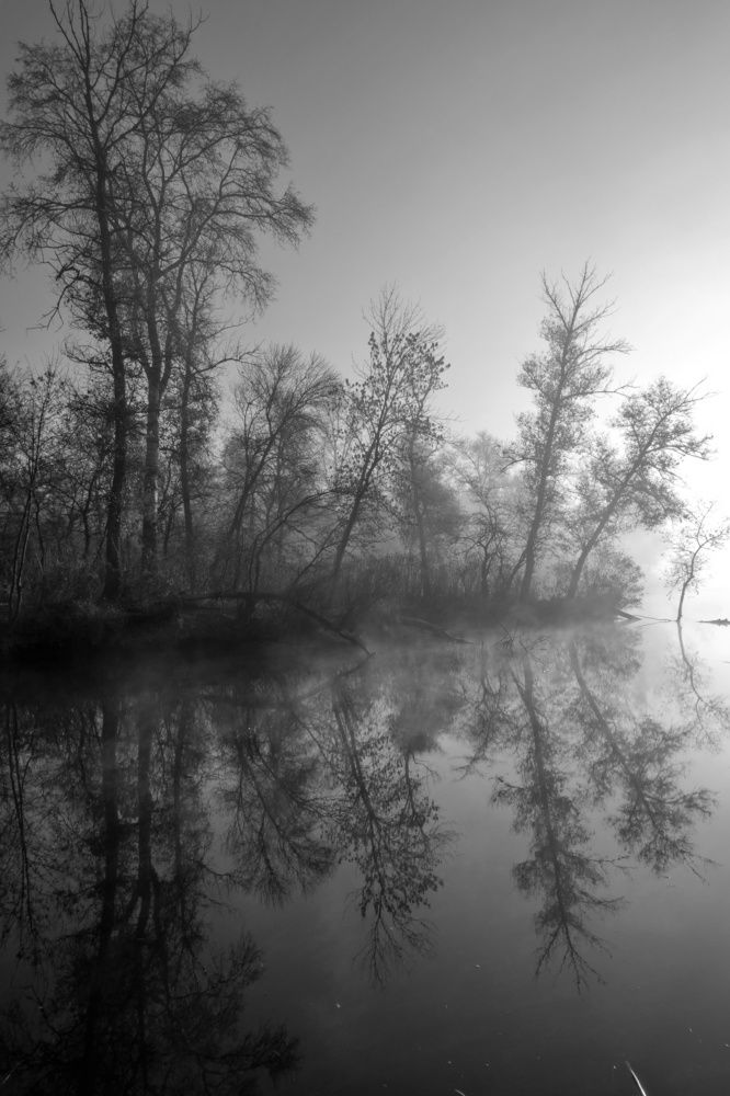 Глазам очарование